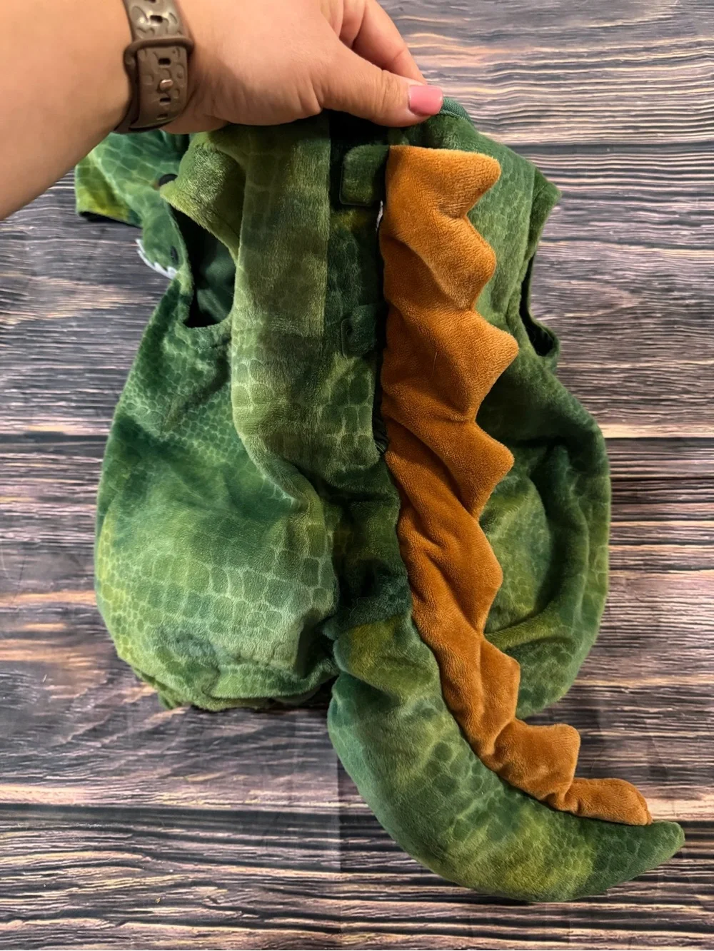 6-12 month Spirit Dinosaur Hooded Costume